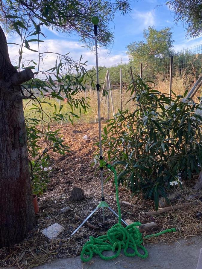 Apartamento La Casa Del Gelso Tonnara di Bonagia Exterior foto