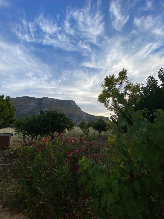 Apartamento La Casa Del Gelso Tonnara di Bonagia Exterior foto